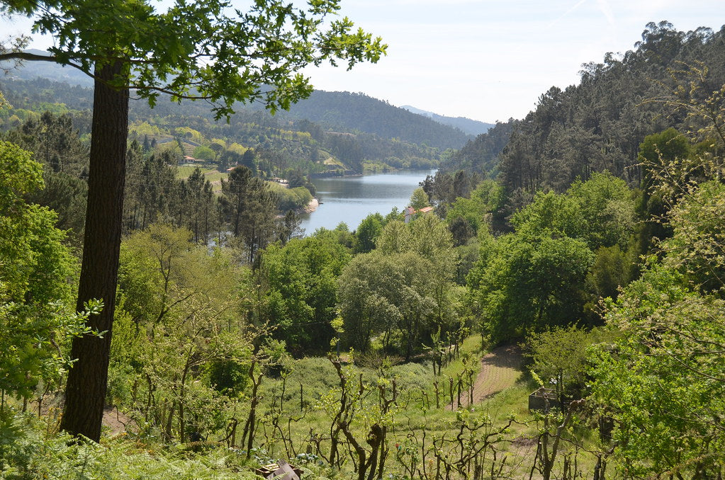 The Tâmega river valley, Marco de Canaveses, Porto District, Portugal. Photo by Pedro Nuno Caetano via Flickr, CC BY 2.0.